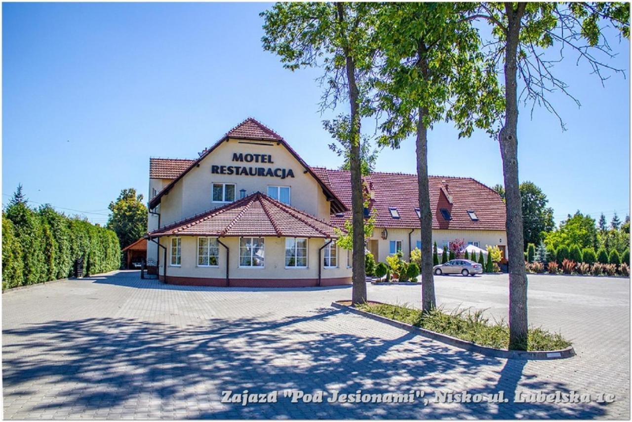 Zajazd Pod Jesionami Nisko Buitenkant foto
